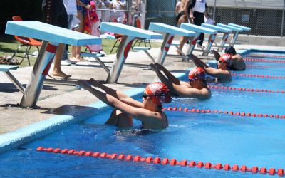 Actividad física, deporte y aprendizaje