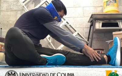 Actividades físicas-deportivas durante y pospandemia: voces de los estudiantes universitarios